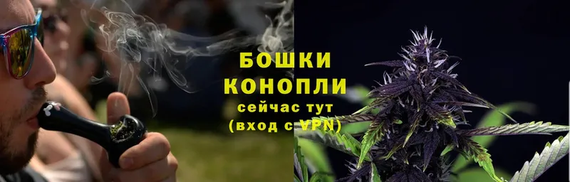 как найти закладки  Дальнереченск  Канабис SATIVA & INDICA 